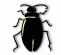 insect_07.gif