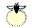 insect_29.gif