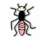 insect_35.gif